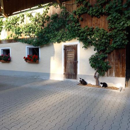 Landhof Ella - Ferienhaus Vor Den Toren Salzburgs Petting Exterior foto